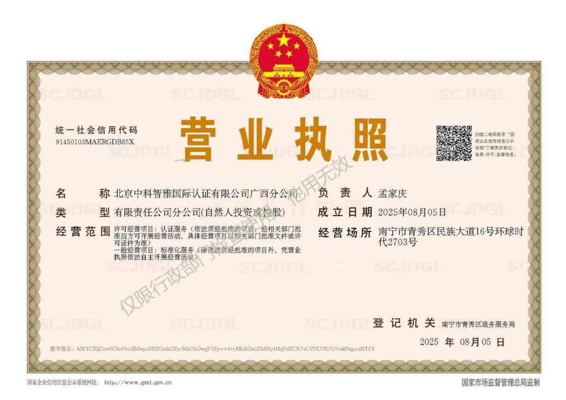 广西分公司营业执照